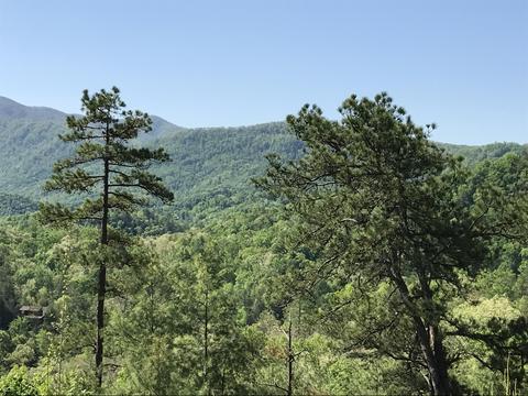 424 Mountain John Loop, Townsend, TN 37882 photo 3