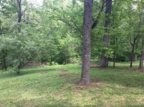 116 Jackson St, Harrogate, TN 37752 photo 33