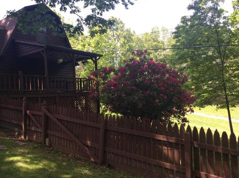 116 Jackson St, Harrogate, TN 37752 photo 11