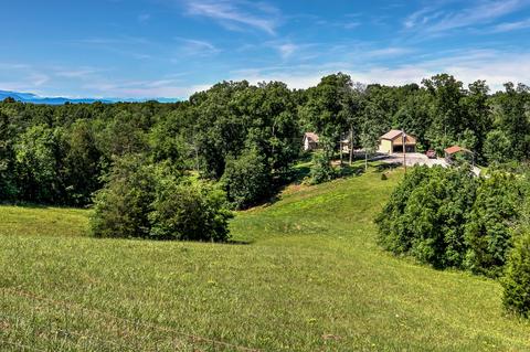 795 Bays Mountain Rd, Mohawk, TN 37810 photo 3