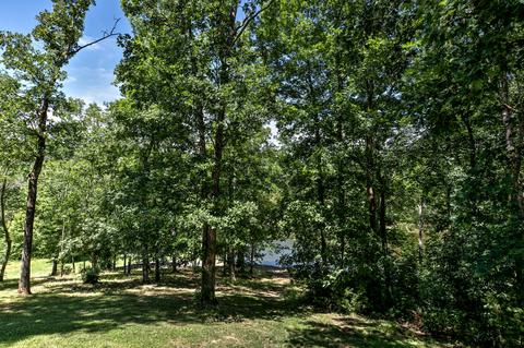 795 Bays Mountain Rd, Mohawk, TN 37810 photo 37