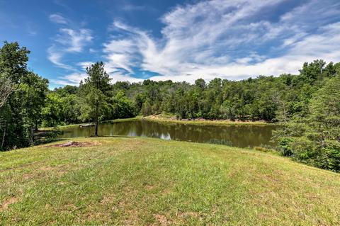 795 Bays Mountain Rd, Mohawk, TN 37810 photo 42