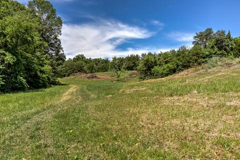 795 Bays Mountain Rd, Mohawk, TN 37810 photo 44