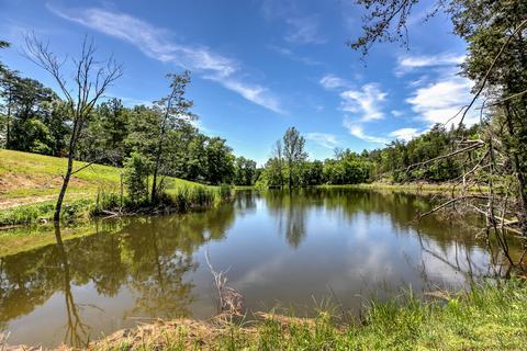 795 Bays Mountain Rd, Mohawk, TN 37810 photo 43