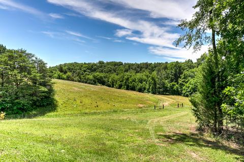 795 Bays Mountain Rd, Mohawk, TN 37810 photo 47