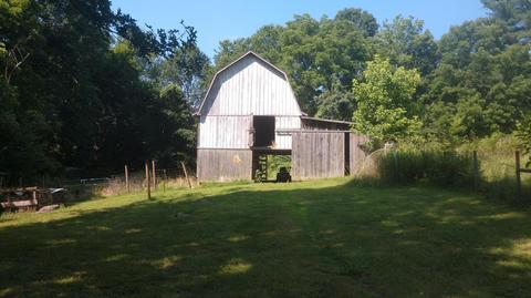3106 Highway 61 E, Luttrell, TN 37779 photo 4