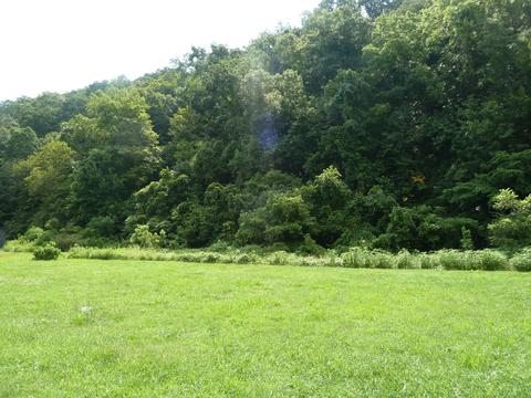 845 E Wolf Valley Rd, Heiskell, TN 37754 photo 8