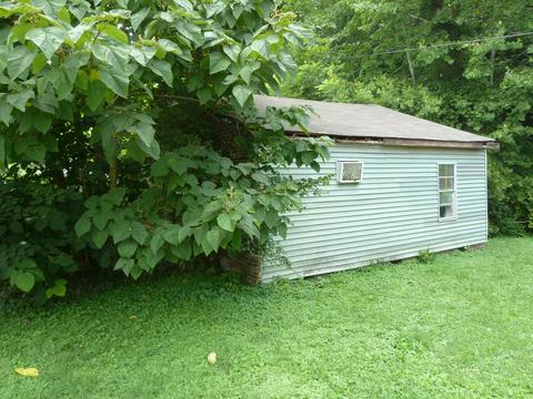 845 E Wolf Valley Rd, Heiskell, TN 37754 photo 5