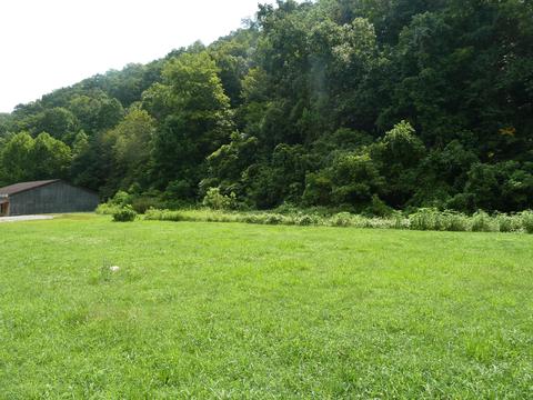 845 E Wolf Valley Rd, Heiskell, TN 37754 photo 6