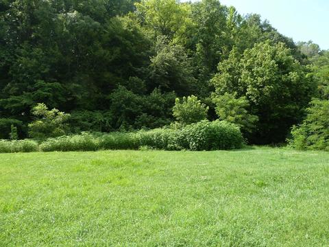 845 E Wolf Valley Rd, Heiskell, TN 37754 photo 7