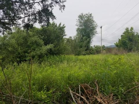 Monte Vista Rd, Ewing, VA 24248