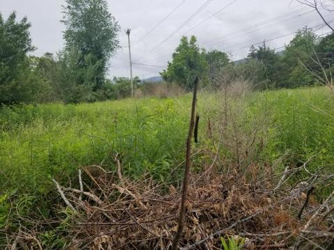 Monte Vista Rd, Ewing, VA 24248 photo 5