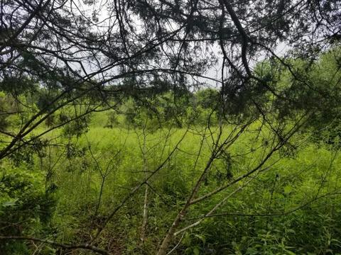 Monte Vista Rd, Ewing, VA 24248 photo 3