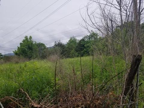 Monte Vista Rd, Ewing, VA 24248 photo 4