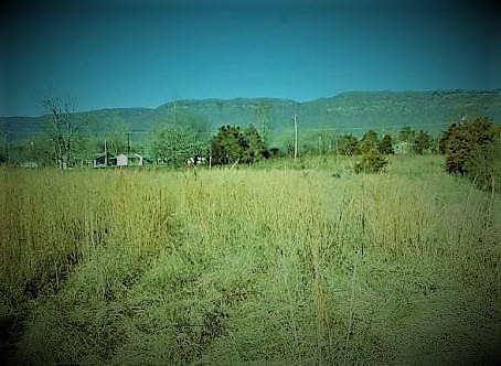 Monte Vista Rd, Ewing, VA 24248 photo 2