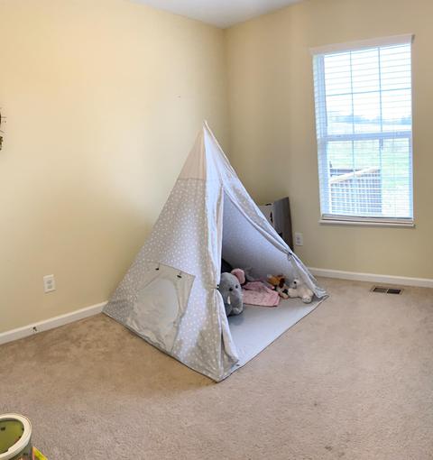 10029 Emory Rd, Corryton, TN 37721 photo 20