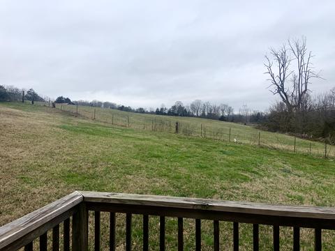 10029 Emory Rd, Corryton, TN 37721 photo 5