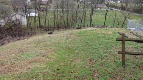 364 Nettleton Rd, Harrogate, TN 37752 photo 3
