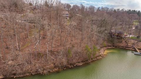 200 E Cove Dr, Greenback, TN 37742 photo 26