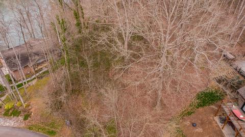 200 E Cove Dr, Greenback, TN 37742 photo 30