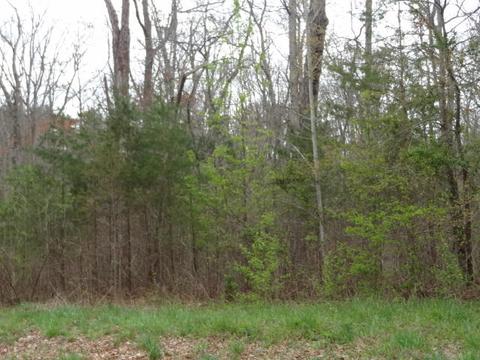 Dosha Court, Crossville, TN 38555