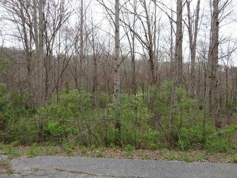Eugene Court, Crossville, TN 38555