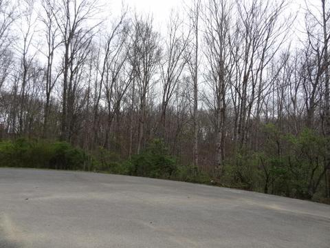 Eugene Court, Crossville, TN 38555