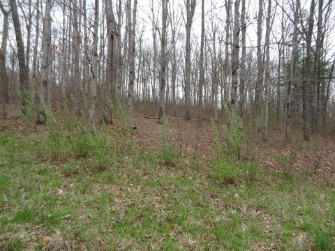 Ottoma Drive, Crossville, TN 38555