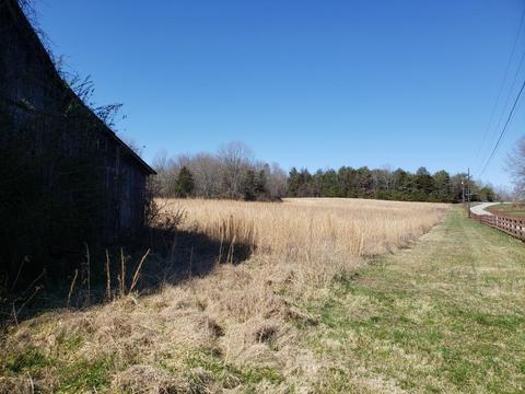 8223 Corryton Lutrell Rd, Plainview, TN 37721 photo 2