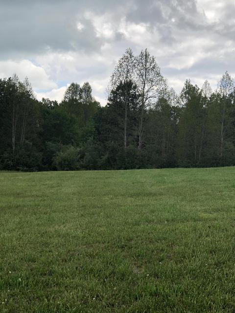 1943 Old Grimsley Rd, Grimsley, TN 38565 photo 30