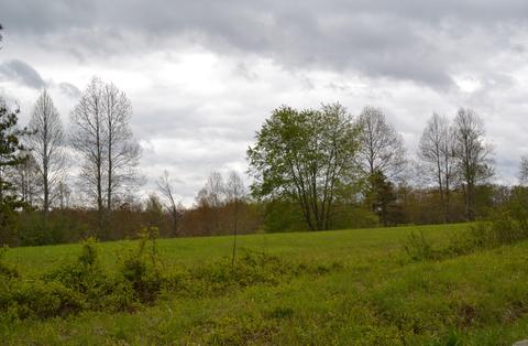 1943 Old Grimsley Rd, Grimsley, TN 38565 photo 21