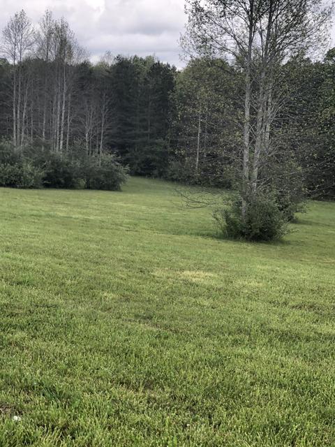 1943 Old Grimsley Rd, Grimsley, TN 38565 photo 32