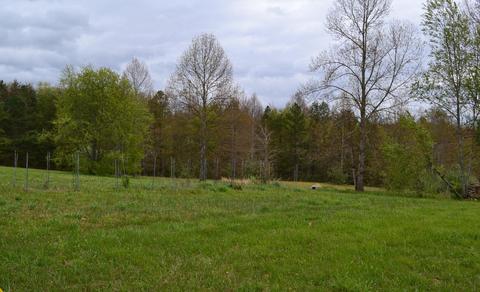1943 Old Grimsley Rd, Grimsley, TN 38565 photo 20