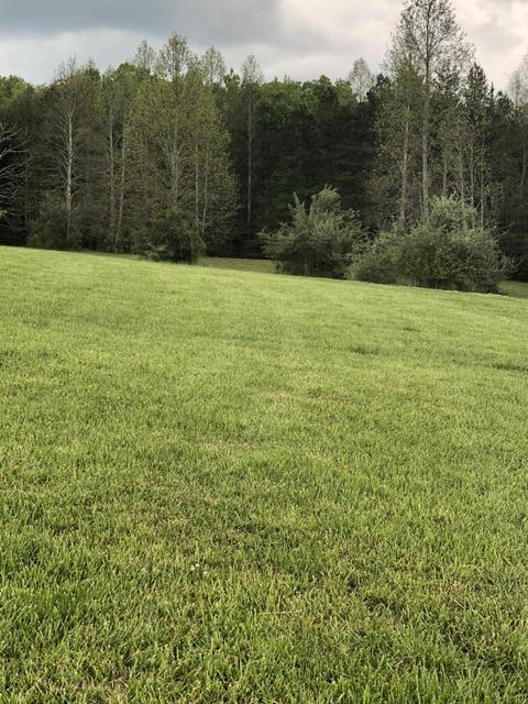 1943 Old Grimsley Rd, Grimsley, TN 38565 photo 33