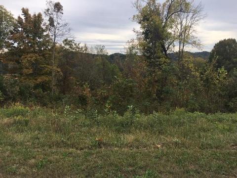 Owen Moore Lane, Maynardville, TN 37807