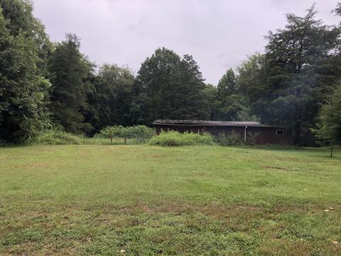 217 Watson Rd, Rutledge, TN 37861 photo 1