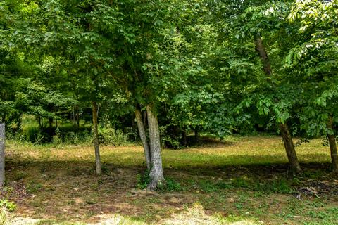 265 Archer Rd, Luttrell, TN 37779 photo 9