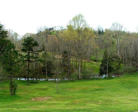 Lot 19 Watauga Lane, Birchwood, TN 37308