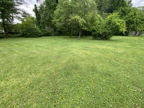 2512 Exeter Ave, Middlesboro, KY 40965 photo 3