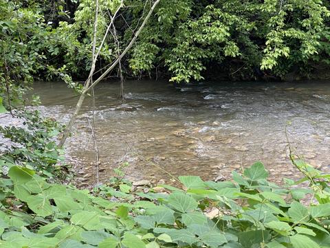 2512 Exeter Ave, Middlesboro, KY 40965 photo 5