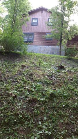 2900 Buffalo Rd, Oneida, TN 37841 photo 4