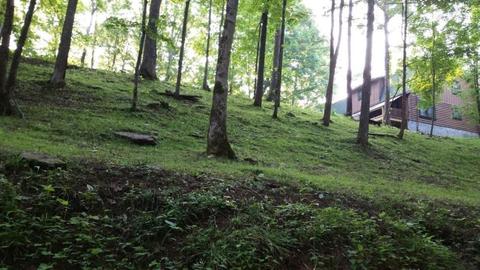 2900 Buffalo Rd, Oneida, TN 37841 photo 3