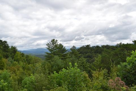 648 Hawks View Rd, Townsend, TN 37882 photo 6