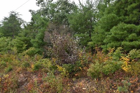 648 Hawks View Rd, Townsend, TN 37882 photo 10