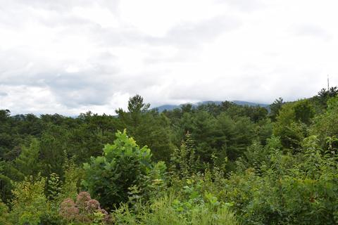 648 Hawks View Rd, Townsend, TN 37882 photo 7