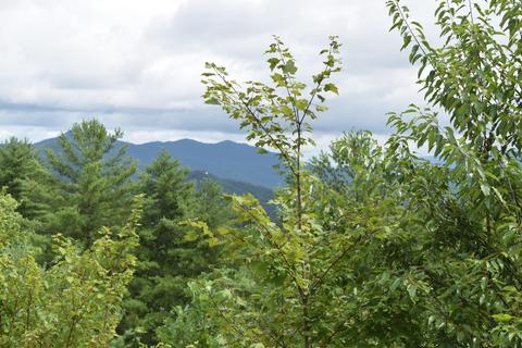 648 Hawks View Rd, Townsend, TN 37882 photo 1