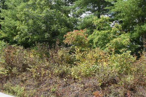 648 Hawks View Rd, Townsend, TN 37882 photo 4