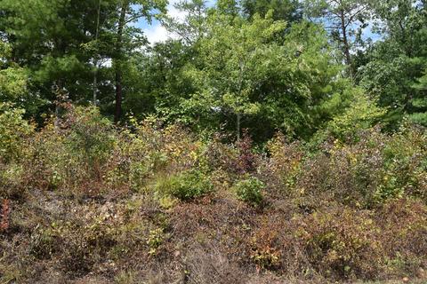 648 Hawks View Rd, Townsend, TN 37882 photo 3