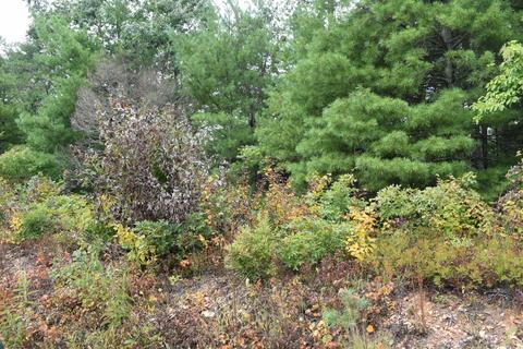 648 Hawks View Rd, Townsend, TN 37882 photo 9