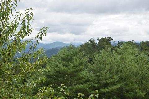 648 Hawks View Rd, Townsend, TN 37882 photo 14